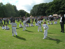 Tae Kwon Do demo