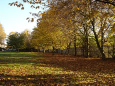 South Acton Rec last Autumn