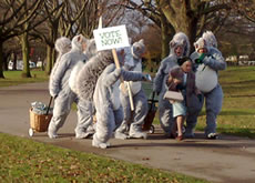 Squirrels chasing elderly lady