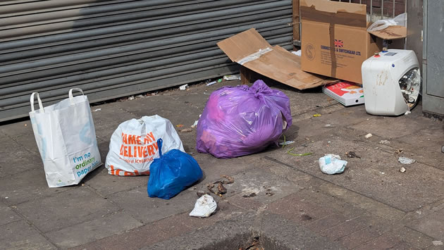 Adelaide Terrace litter 