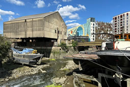 Immerse Yourself in Local History on a Walk