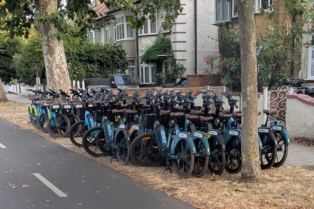 Forest Bikes 