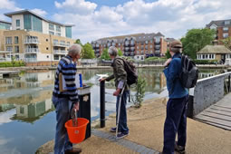 Brentford Lock Water Tests Cause Concern