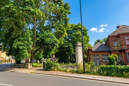 Views Sought on Removal of Trees Outside Brentford Library