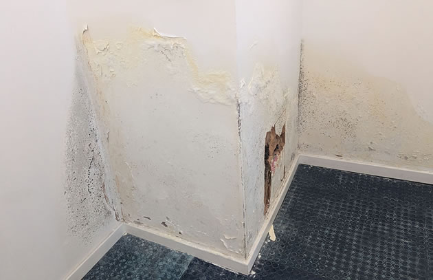 Mould in stairwell 