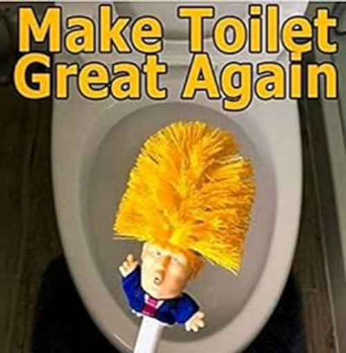 Orange bogbrush 