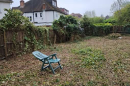Large Fine Handed out for Felling Trees in Osterley Garden 