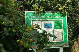 Northumberland Estates Loses Park Road Allotment Appeal 