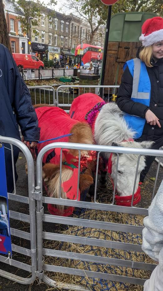 Ponies at a christmas market