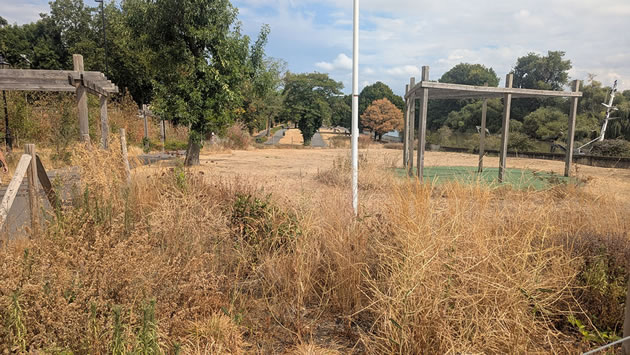 Watermans Park parched 