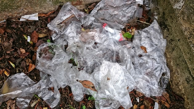 A pile of plastic gloves near the Northolt filling station 