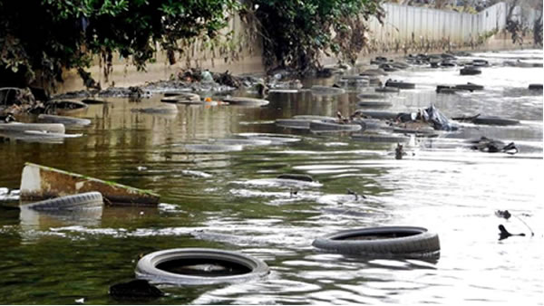 The River Brent during a massive clean-up by volunteers. Picture: Brent River & Canal Society