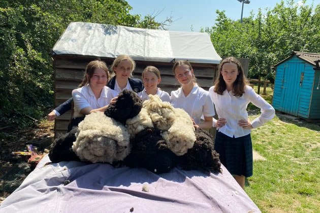 Students helping to roll and pack the wool. Picture: St Augustine's Priory
