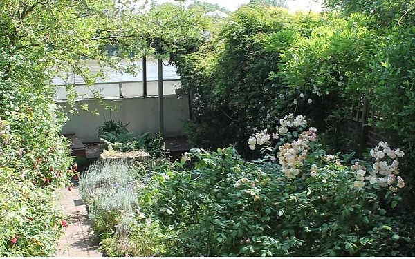 Garden at Emery Walker's House