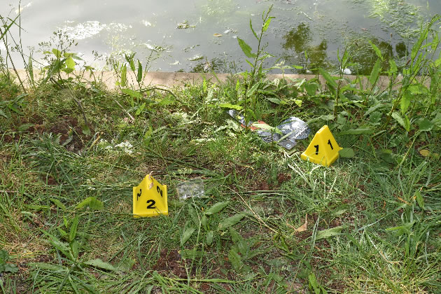 The murder weapon and other evidence was found by the Round Pond in Gunnersbury Park 