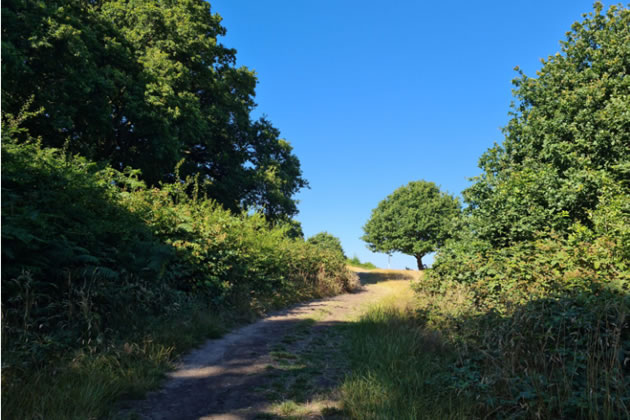 Ealing's plans for a regional park are already well advanced