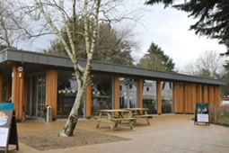 Gunnersbury Park Café Edges Closer to Reopening 