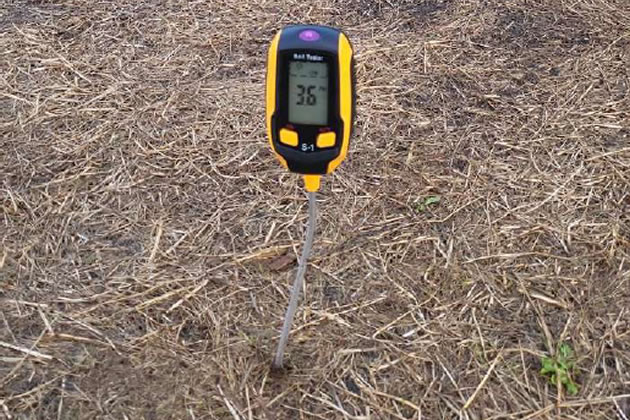 Soil testing has raised concerns that the grass is irreversibly damaged