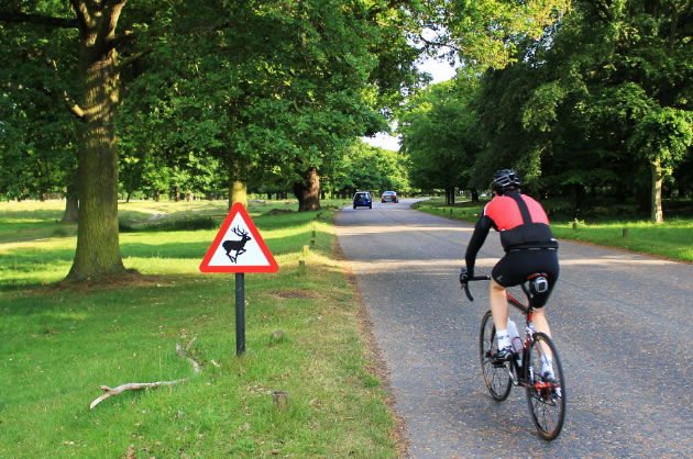 Cyclists Given Access to Richmond Park Again 