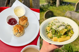 £4 Pasta, Pimm