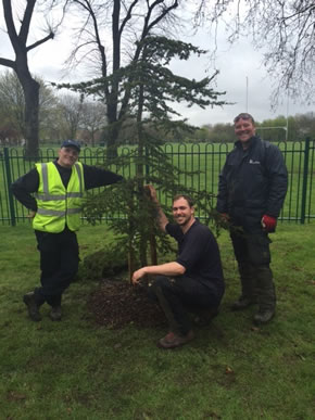 planting trees in hounslow park 
