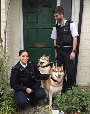 Merton police and husky dogs