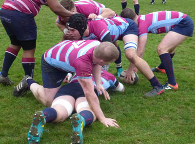 Wimbledon RFC v Shelford